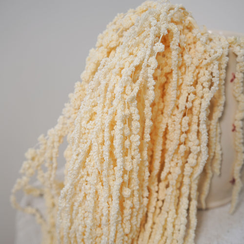 Botte souple amarante blanc