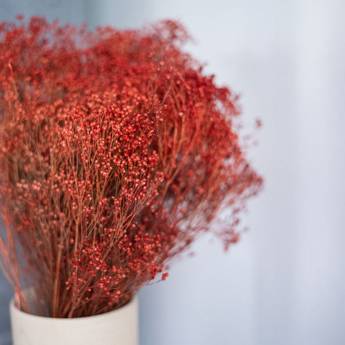 Botte Balai fleur rouille