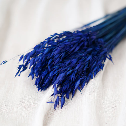 Botte avoine bleu intense