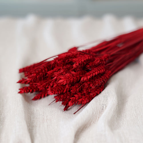 Bottine blé rouge intense