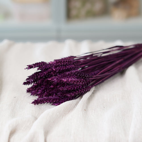 Botte Blé violet intense