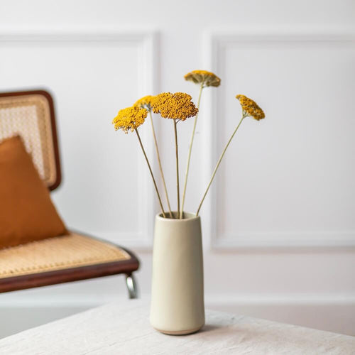 Botte Achillée Parker Small jaune